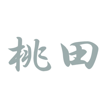 桃田 10