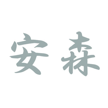 安森 10