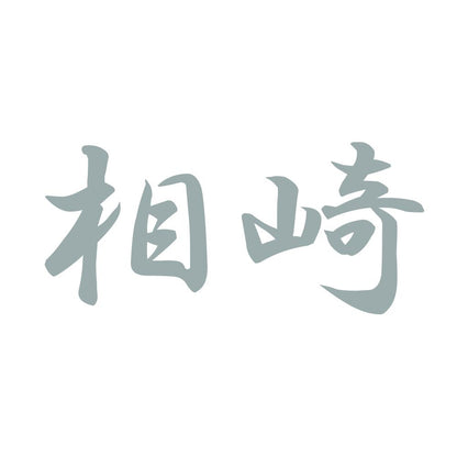 相崎 10