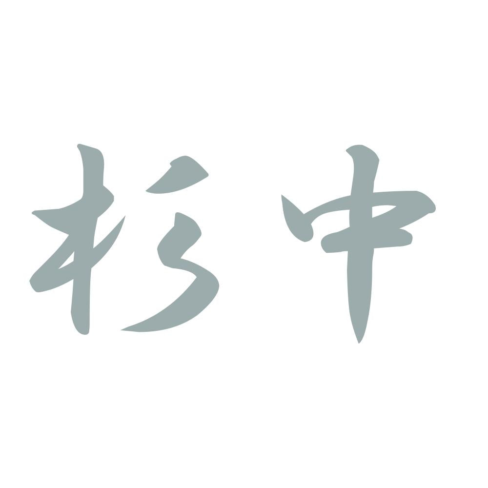杉中 10