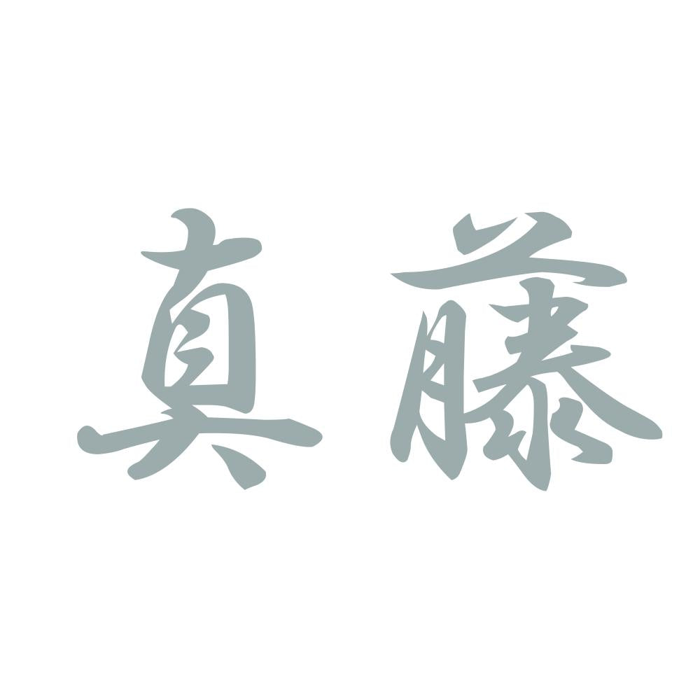 真藤 10