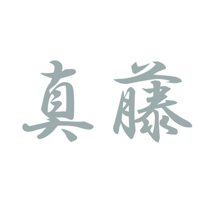 真藤 10