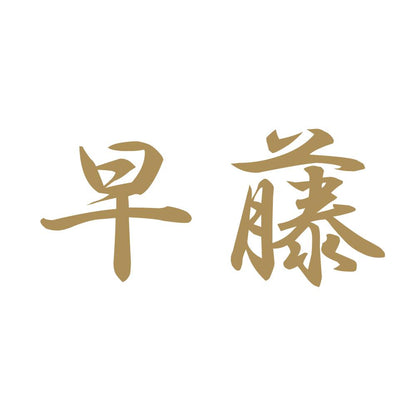 早藤 9
