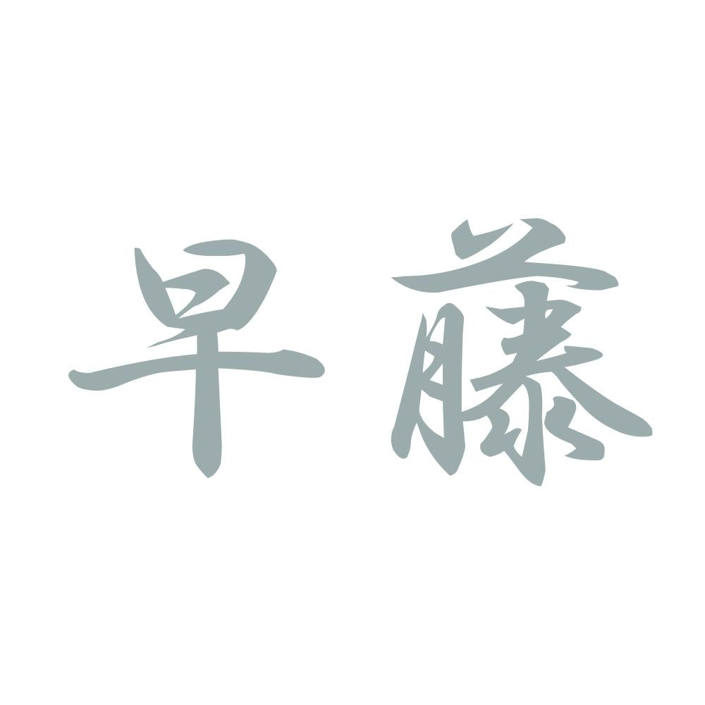 早藤 10