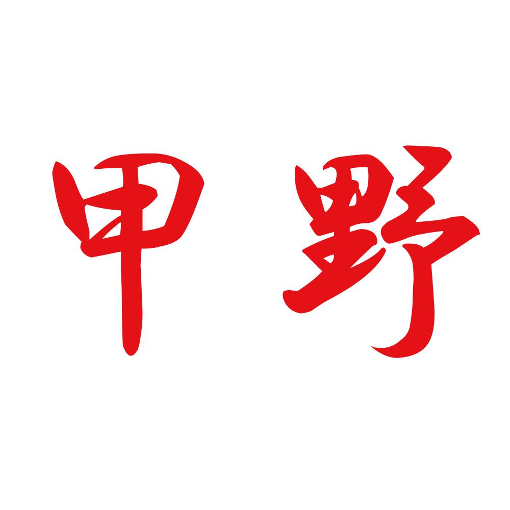 甲野 8