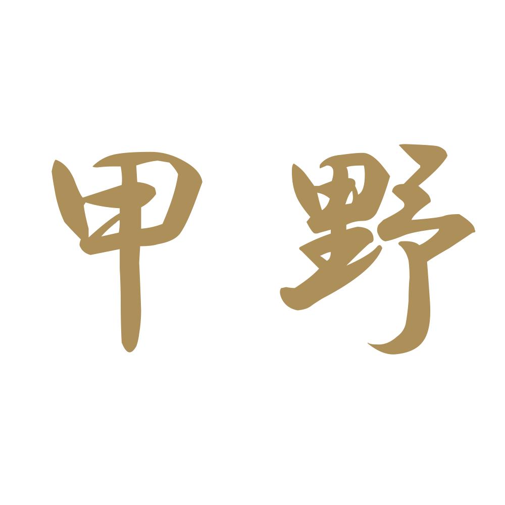 甲野 9