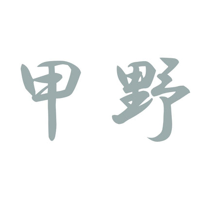甲野 10