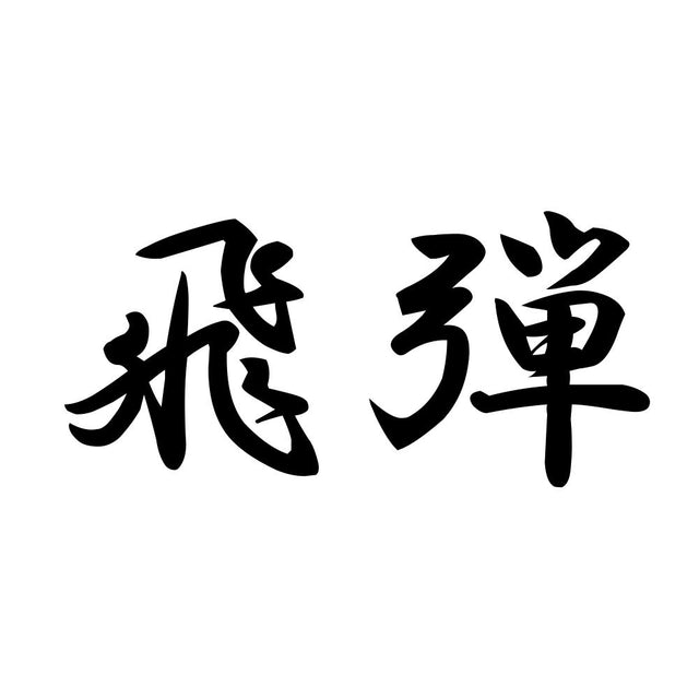 飛弾