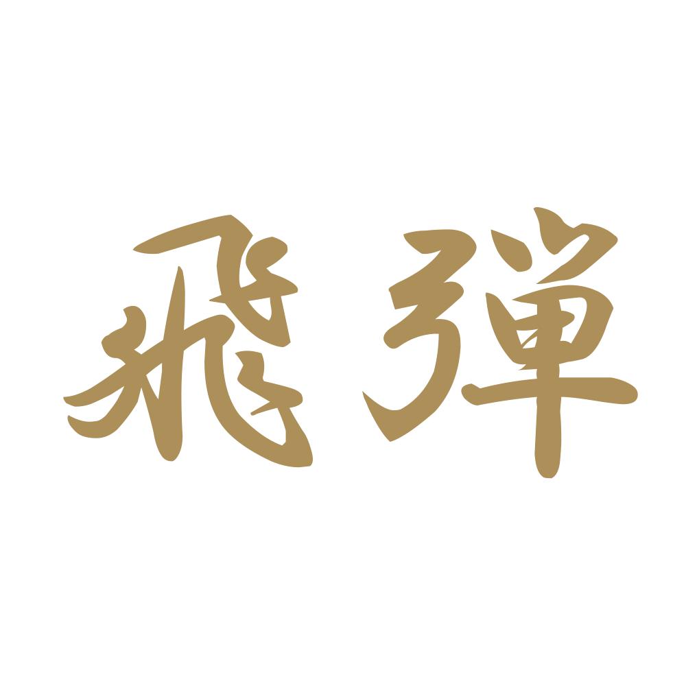 飛弾 9