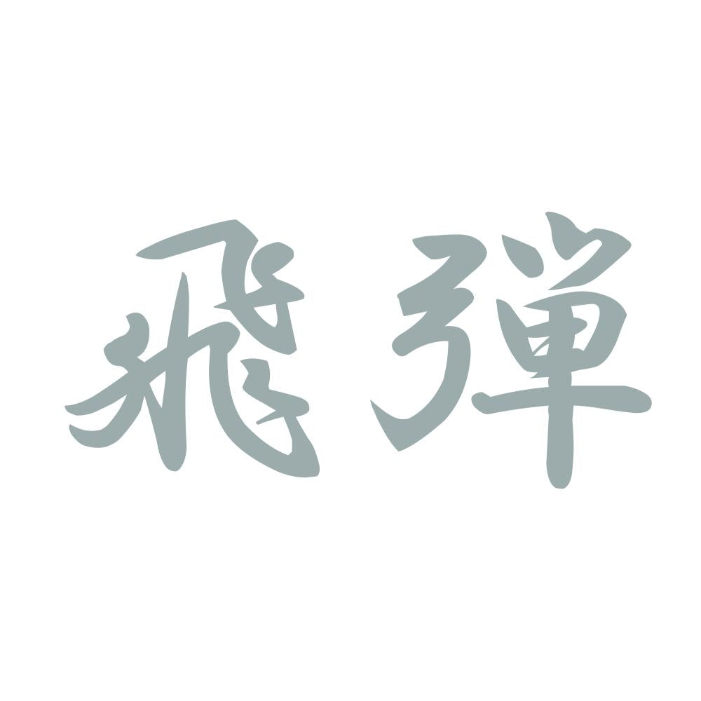 飛弾 10