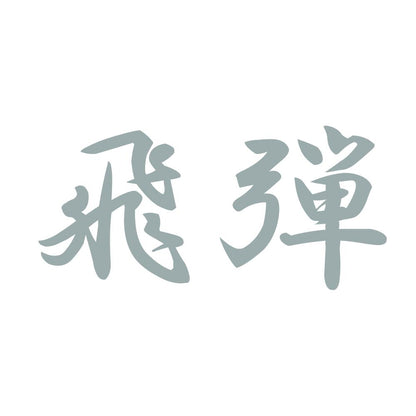 飛弾 10
