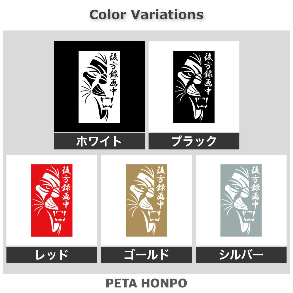 後方録画中ライオン 2
