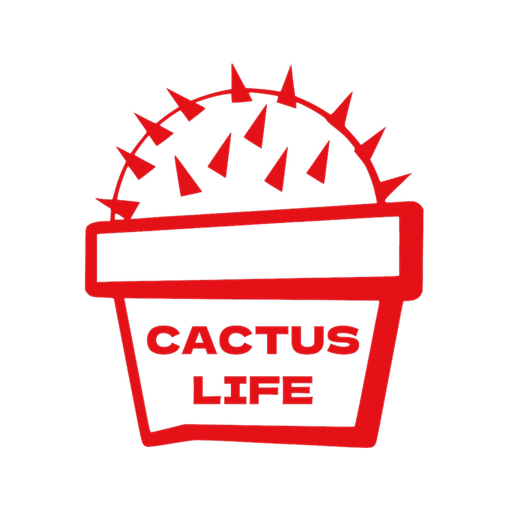 CACTUS LIFE 8