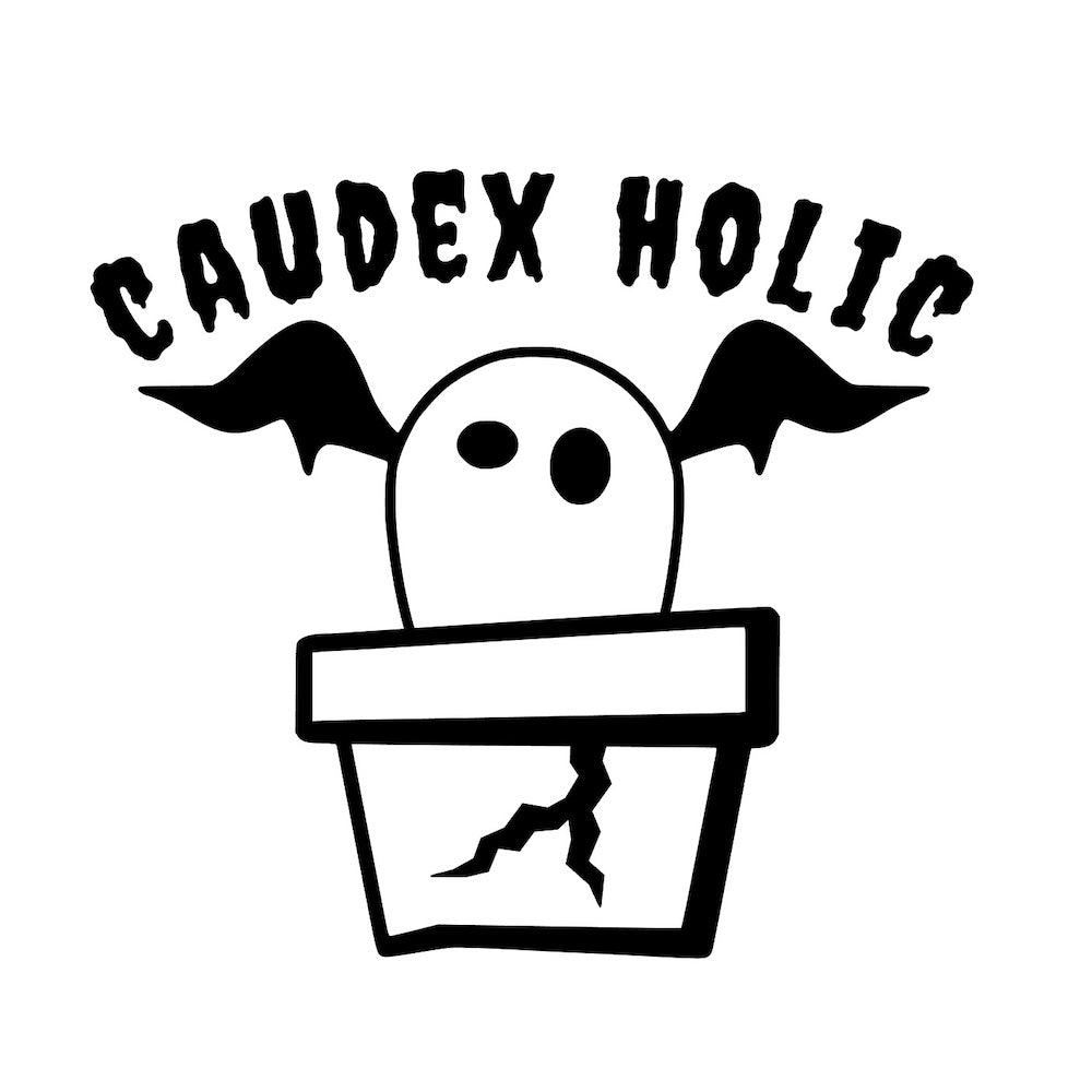 CAUDEX HOLIC(塊根植物中毒)