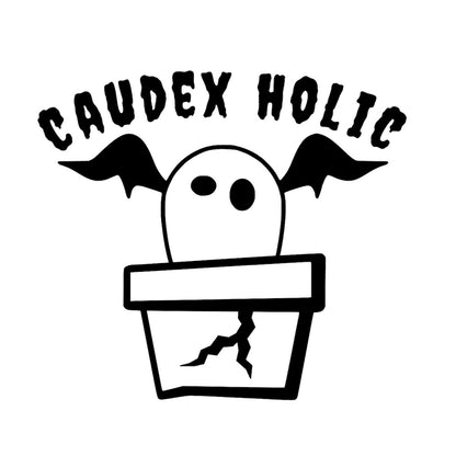 CAUDEX HOLIC(塊根植物中毒)