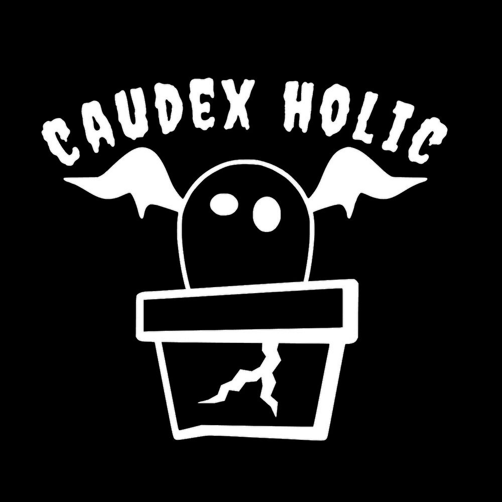 CAUDEX HOLIC(塊根植物中毒) 7