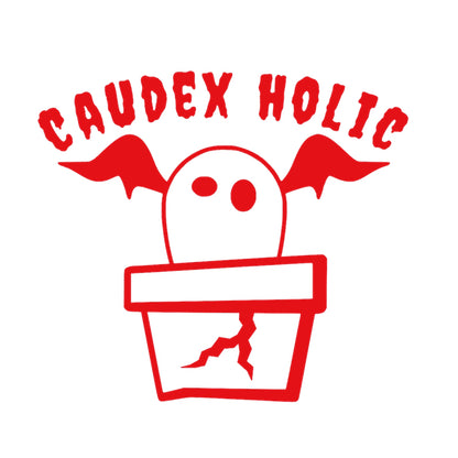 CAUDEX HOLIC(塊根植物中毒) 8