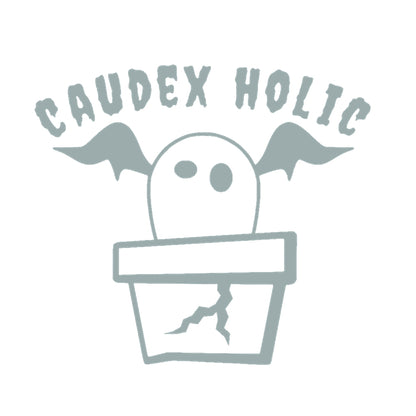 CAUDEX HOLIC(塊根植物中毒) 10