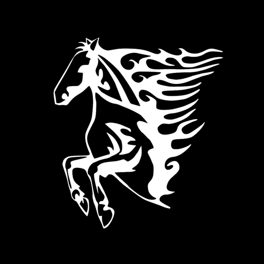 トライバル 炎の馬 7