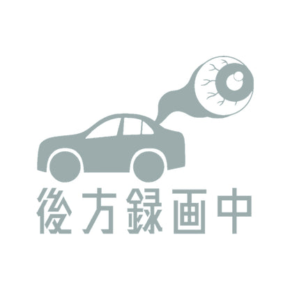 後方録画中 目玉 10