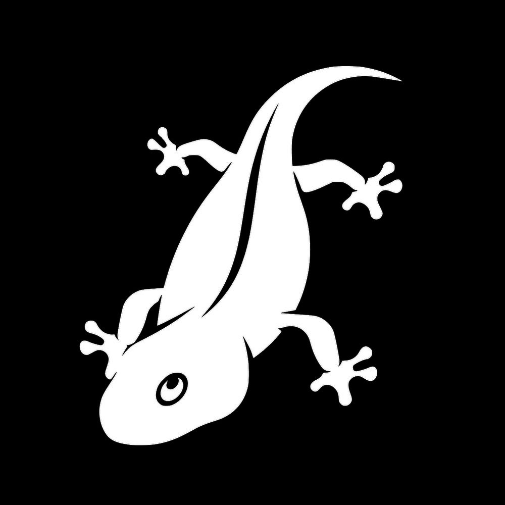 ヤモリ 7