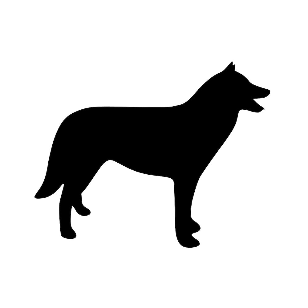 犬 (A)