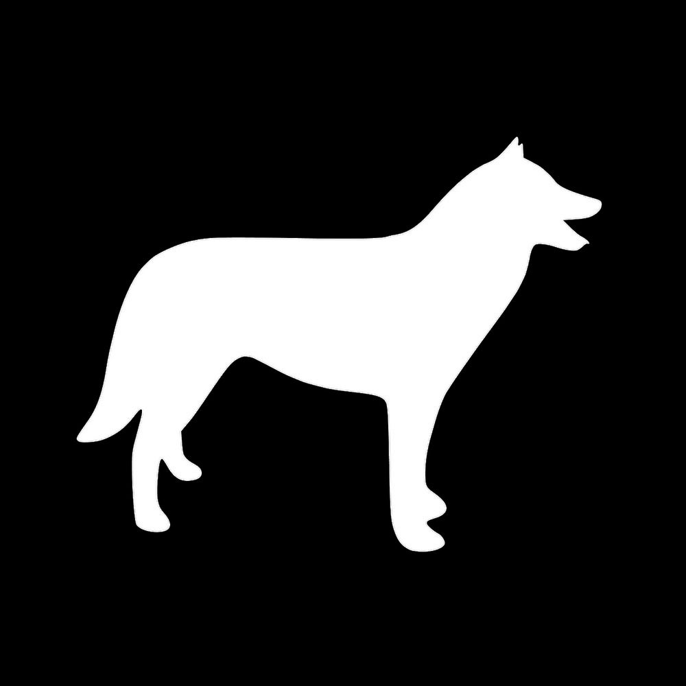 犬 (A) 7