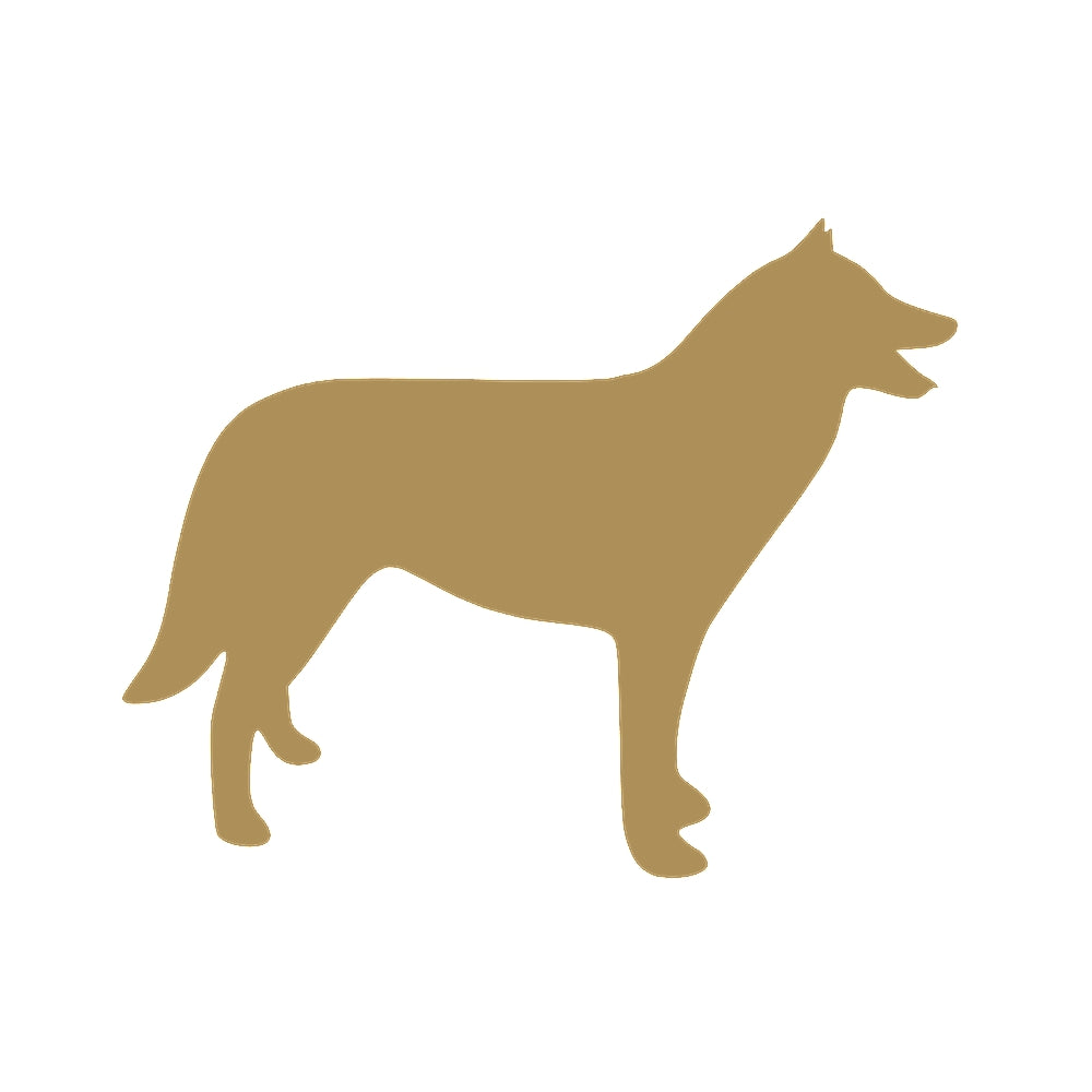 犬 (A) 9