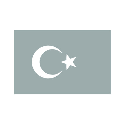 トルコ国旗 10