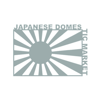 JAPANESE DOMESTIC MARKET 10
