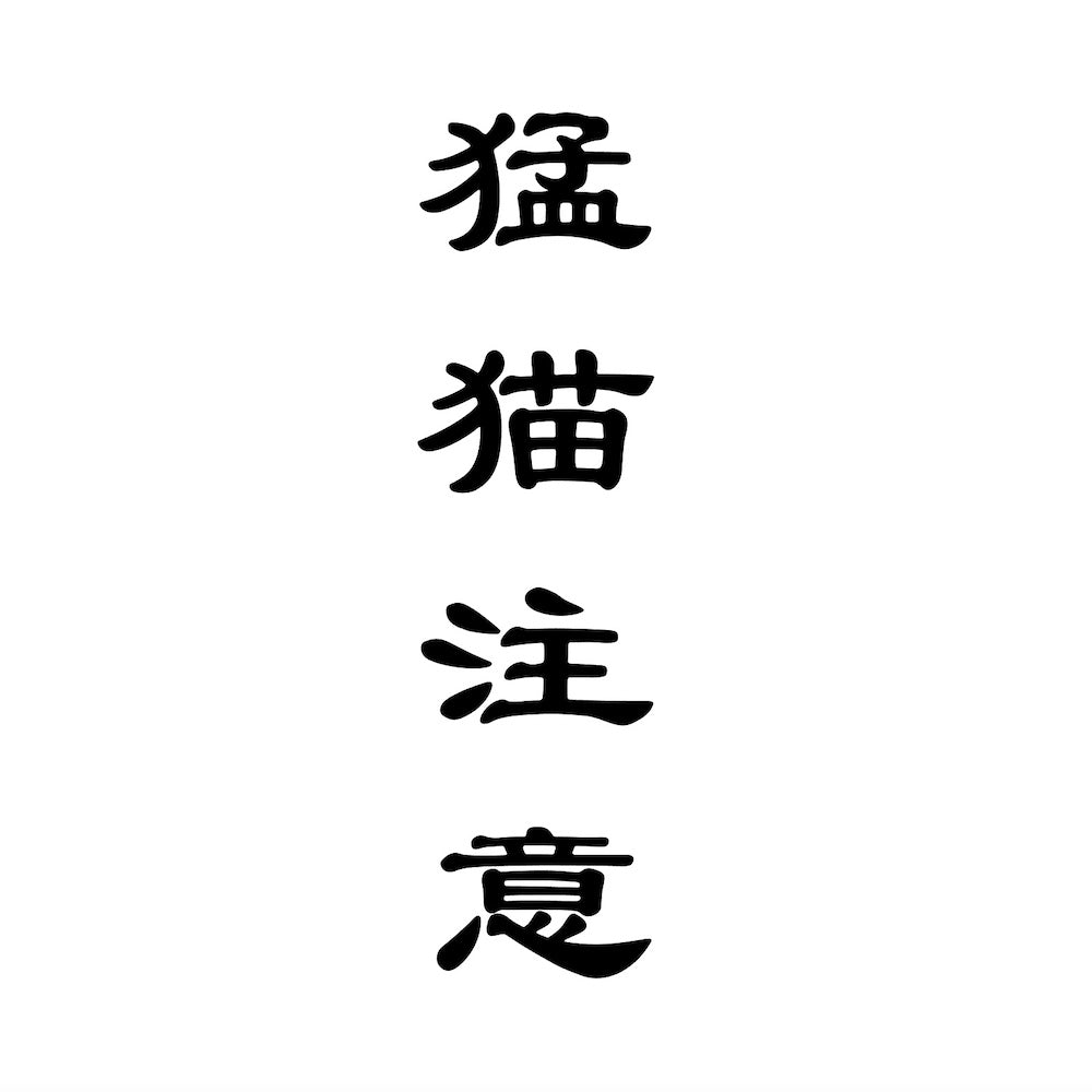 猛猫注意