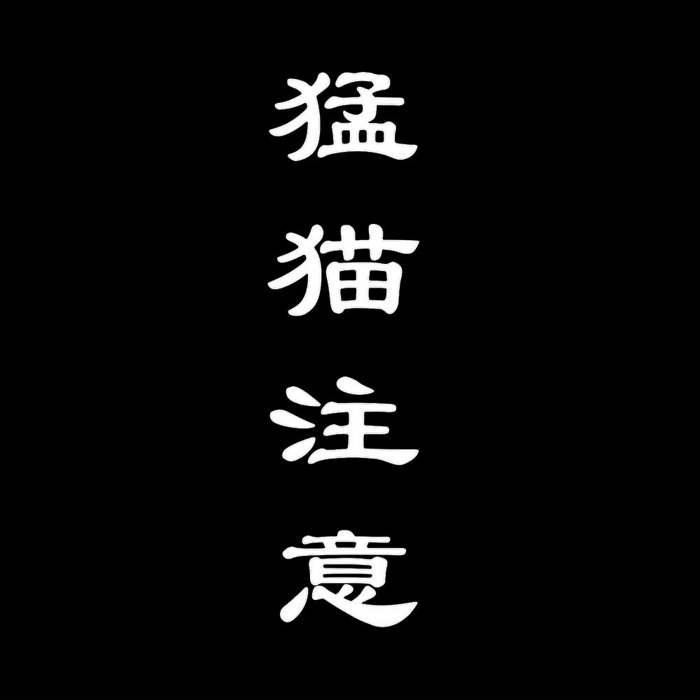 猛猫注意 7