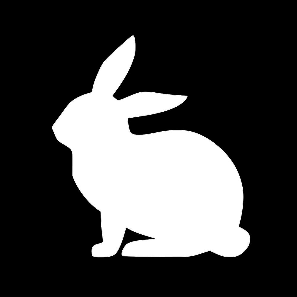 ウサギ 7