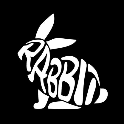 RABBIT (B) 7