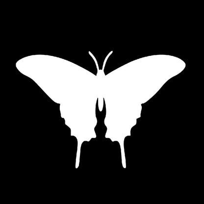 バタフライ 7