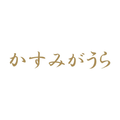 かすみがうら 9