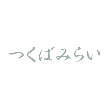 つくばみらい 10