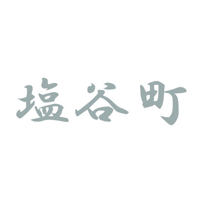 塩谷町 10