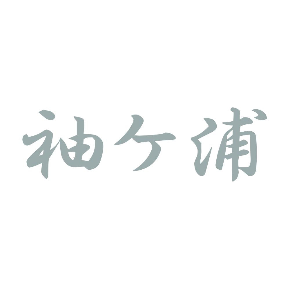 袖ケ浦 10