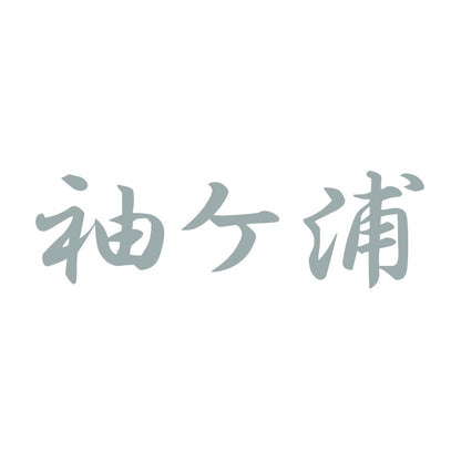 袖ケ浦 10