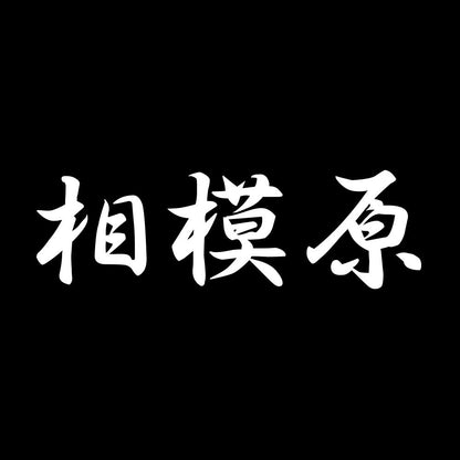 相模原 7