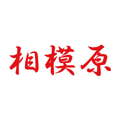 相模原 8