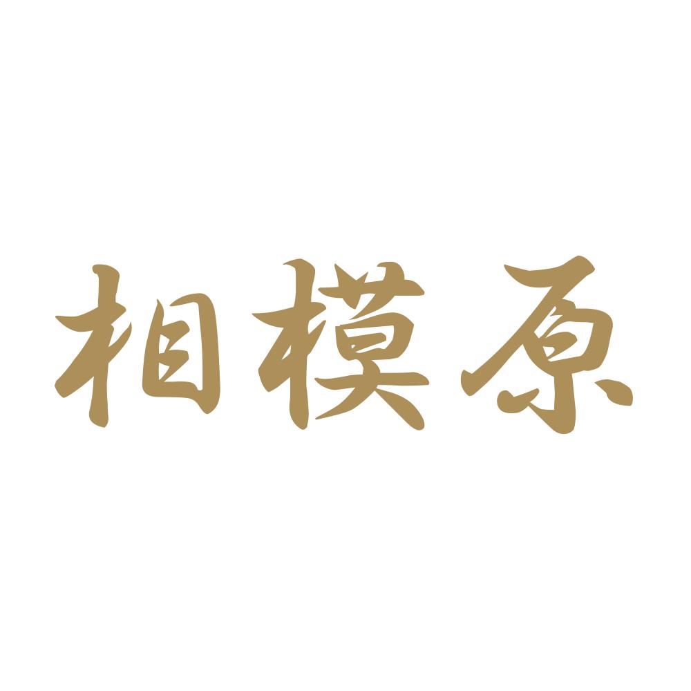 相模原 9