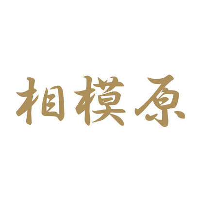 相模原 9