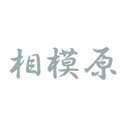 相模原 10