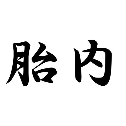 胎内