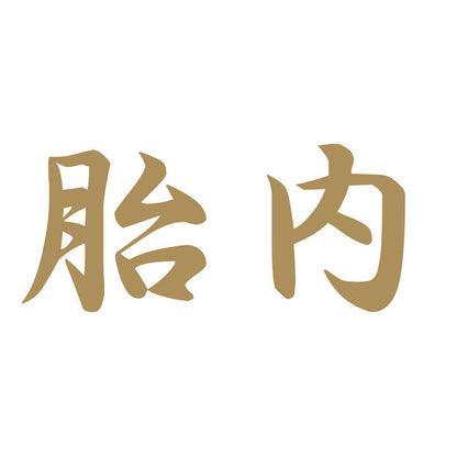胎内 9
