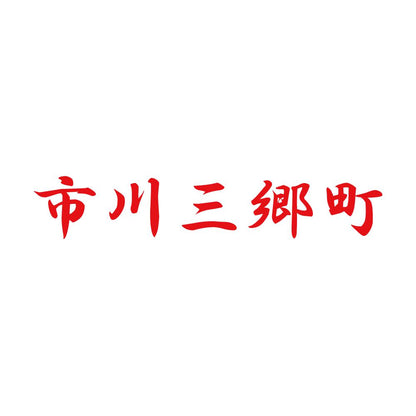 市川三郷町 8