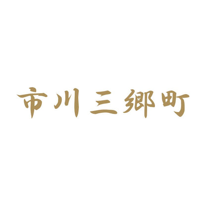 市川三郷町 9