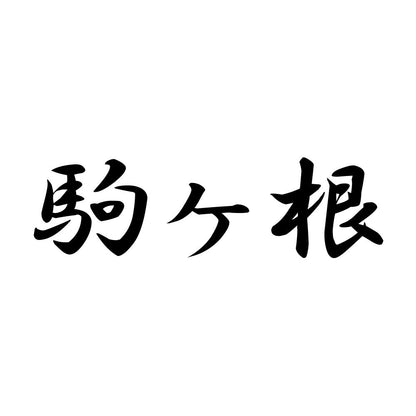 駒ヶ根